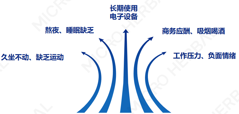 尊龙凯时人生就是博·(中国)官网